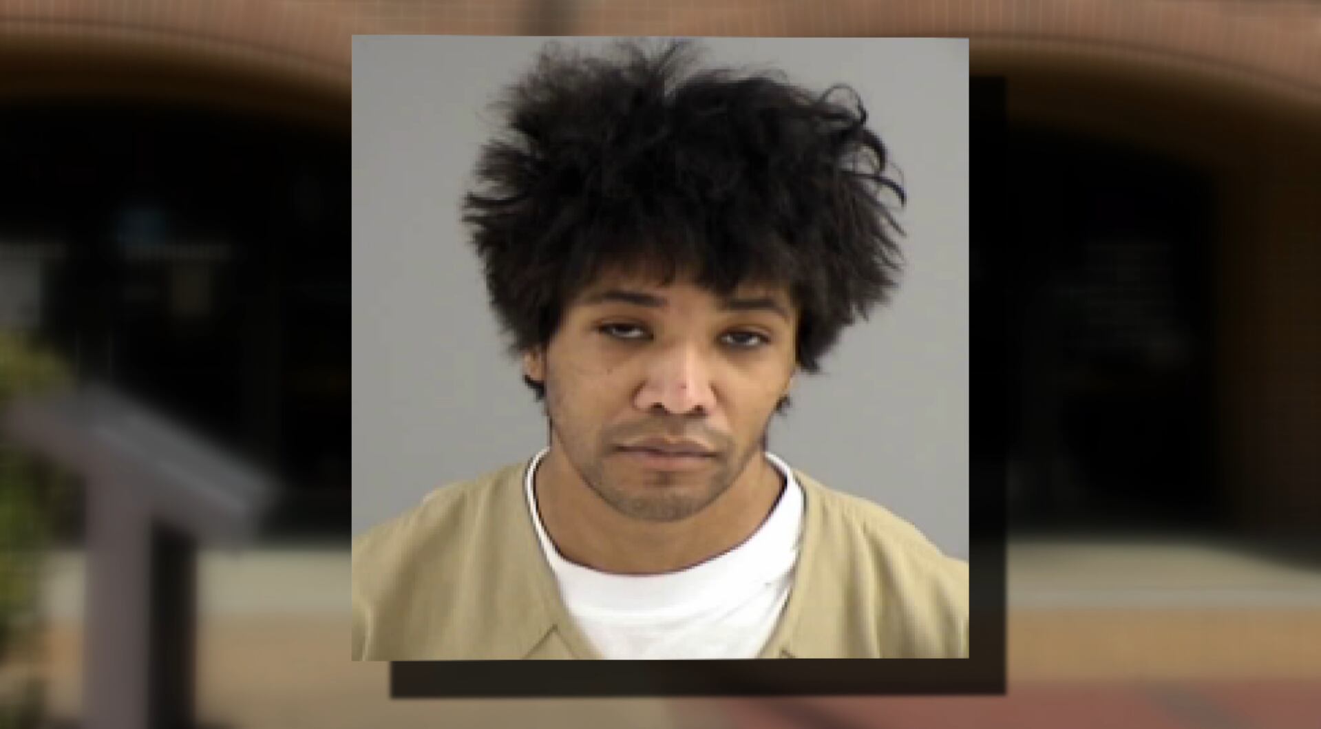 'Incredibly troubling': Man accused of torturing cats in online scam