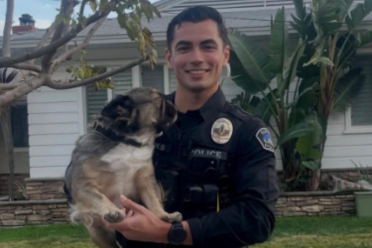Social media swoons as photo of California cop with pups goes viral