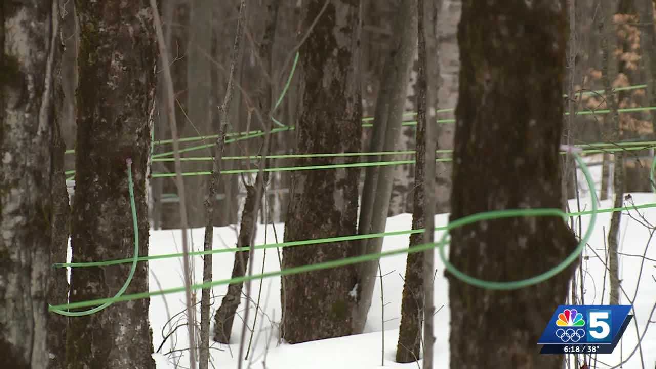 Maple producers unsure of how upcoming sugaring season will go due to ...