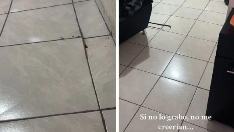 Lo que comenzó pareciendo un fenómeno paranormal se convirtió en un fallo estructural de su casa. Fotografía: TikTok/@jocelincrdenaz