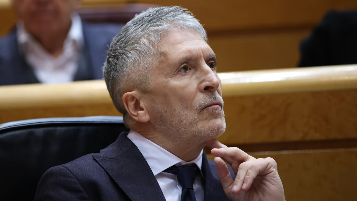 El PP acusa a Marlaska de revictimizar a la denunciante del DAO al ...