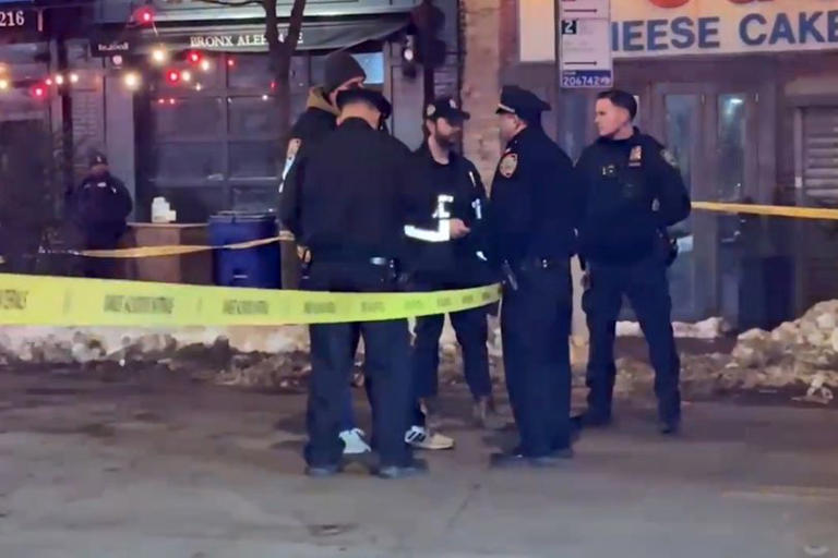 Teen shot dead while shielding friends in Bronx shootout as crime fears ...