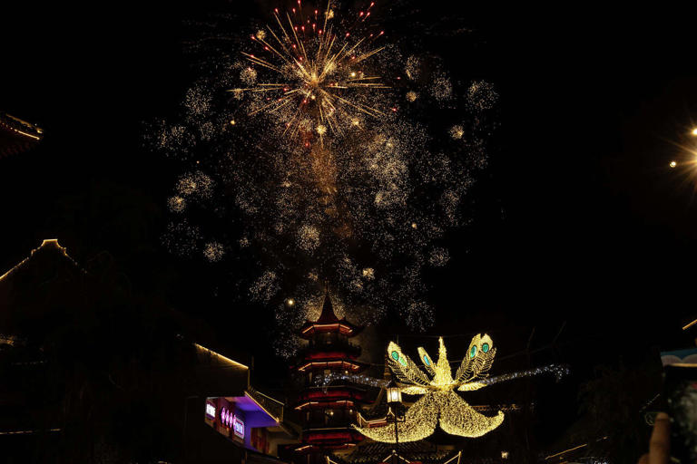 What is the animal for Chinese New Year 2026? See zodiac details, meaning