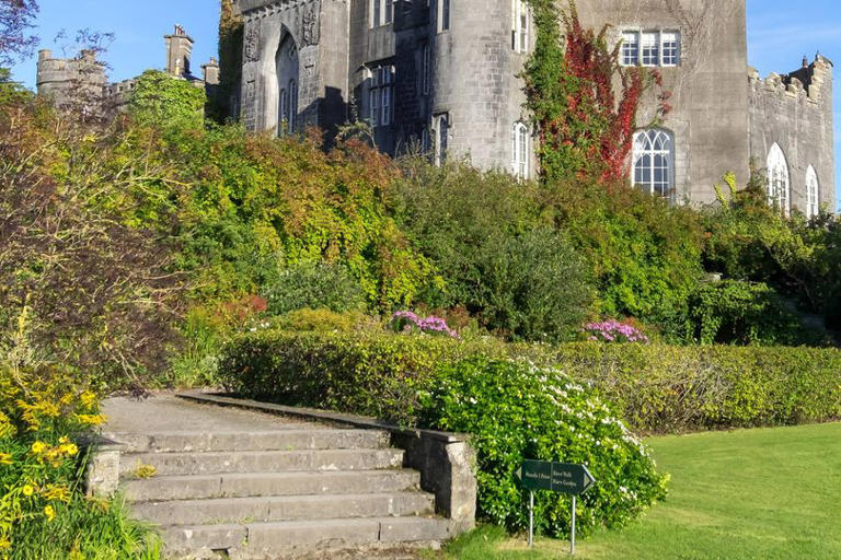 Gothic Irish castle is home to 'scientific wonder of the world'