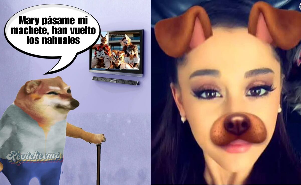 Los mejores memes que dejaron los therians, nueva tendencia que está ...