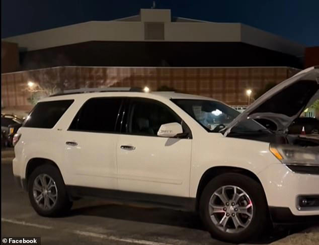 Disaster after groundhog sneaked into University of Arkansas student's car