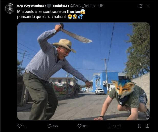 Los mejores memes que dejaron los therians, nueva tendencia que está ...