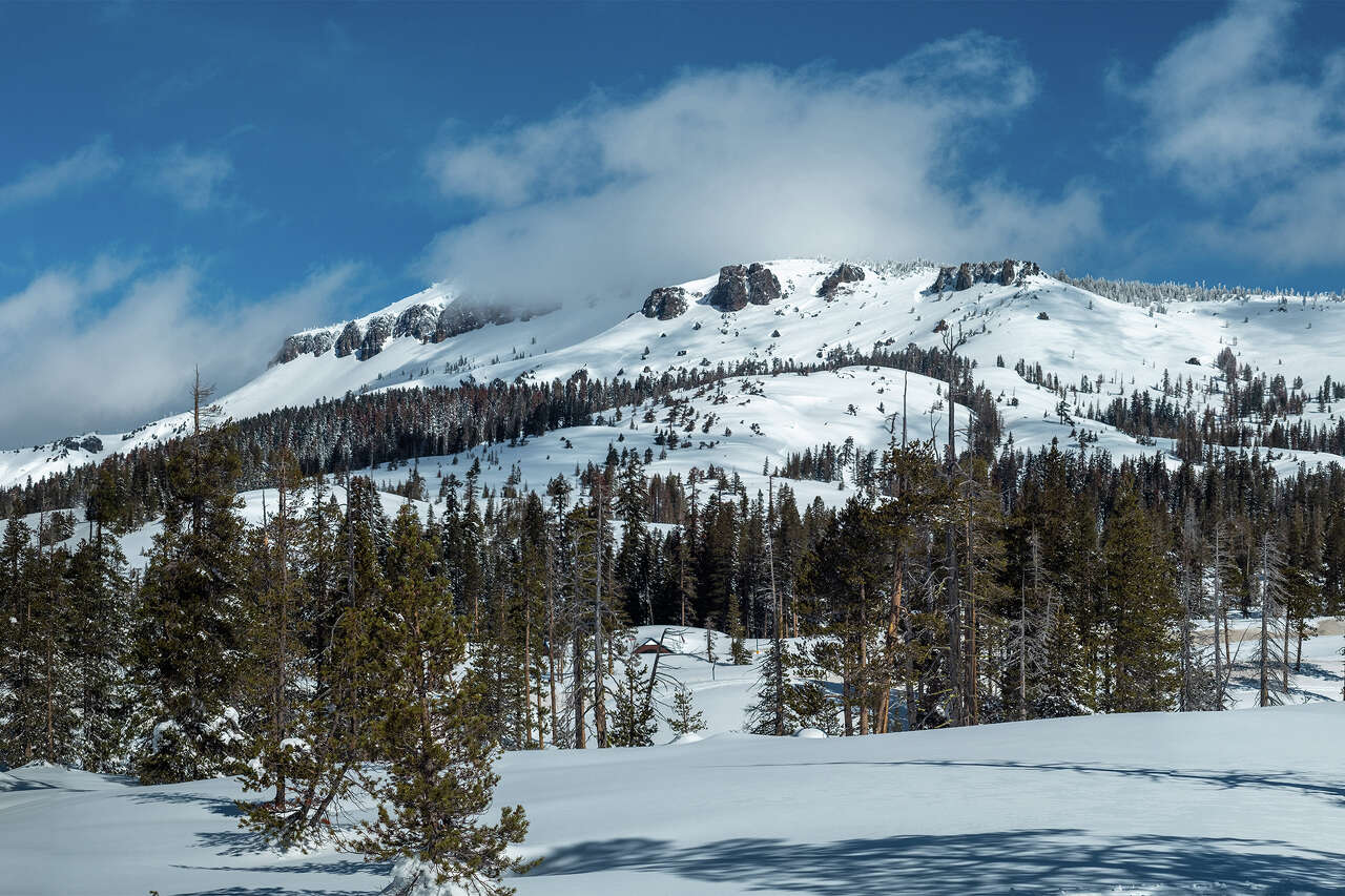 Guiding company releases statement after 16 skiers caught in Tahoe avalanche<br><br>