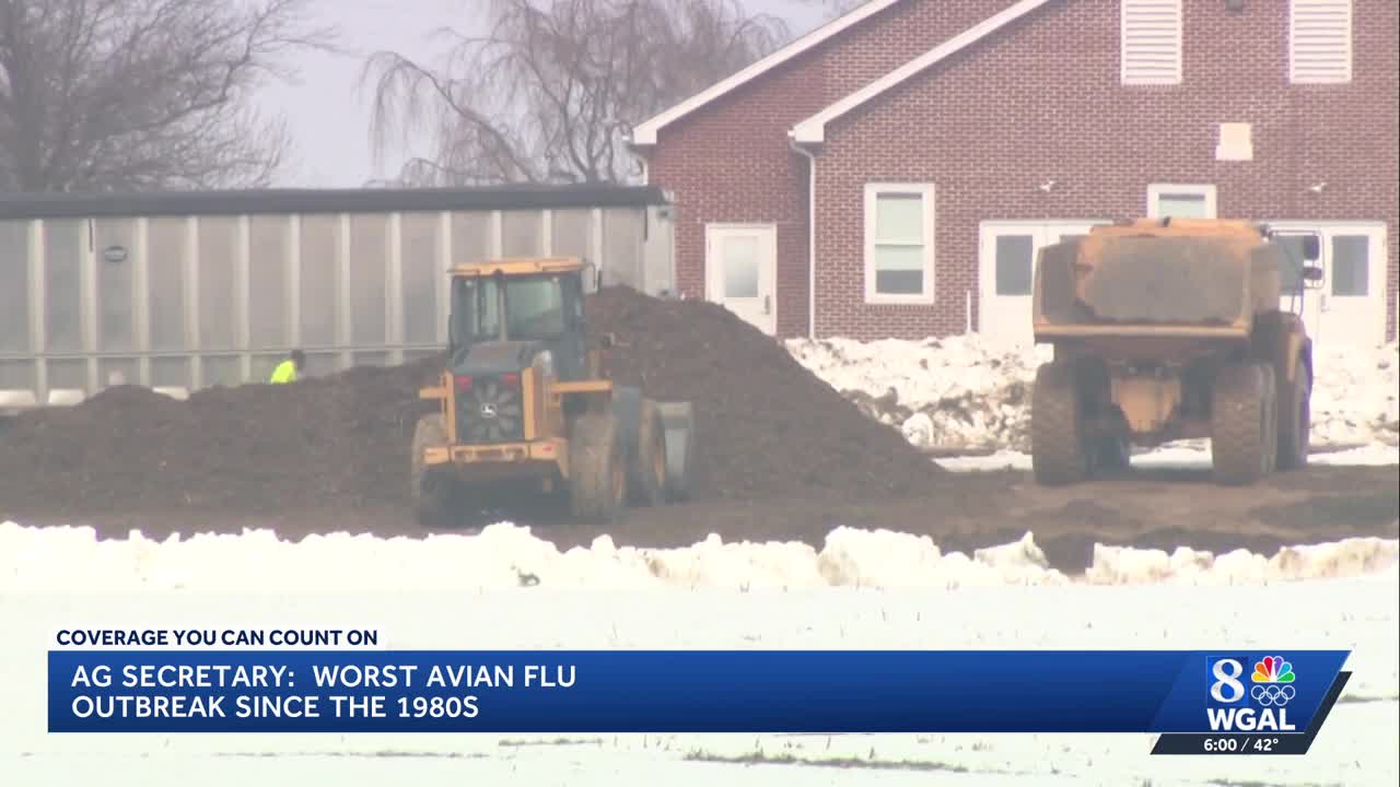 Avian flu outbreak impacts farms in Lancaster County