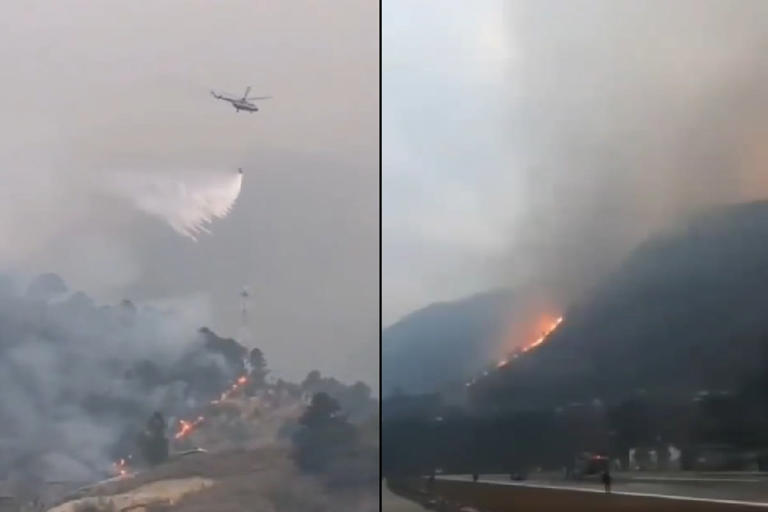 Walong forest fire: भारत के इस घने जंगल में लगी भीषण आग, वायुसेना ने ...