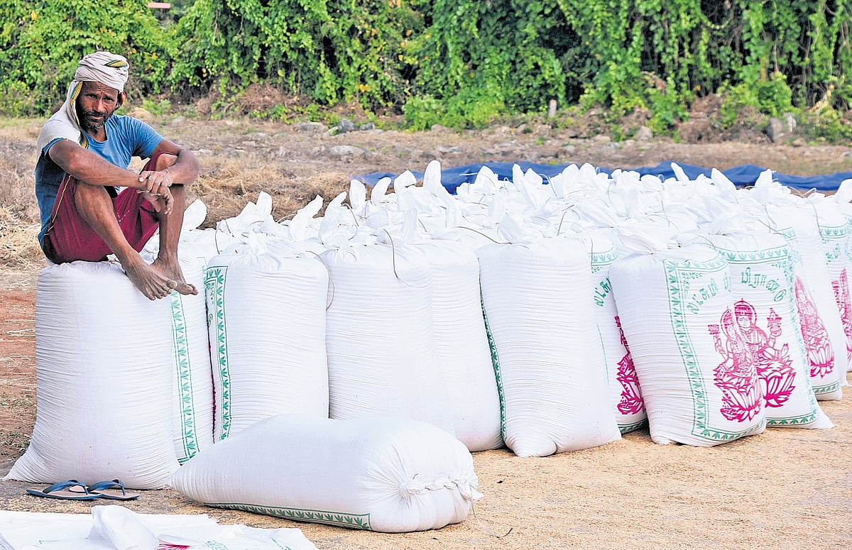 No crop loan waiver, key demands not met, say farmers in delta, south TN