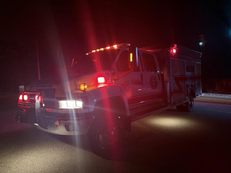 Pedestrian dies after being struck by vehicle in Florence County ...