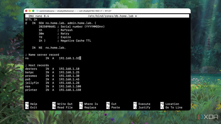 I set up DNS filtering on my router, but split DNS was the best quality ...