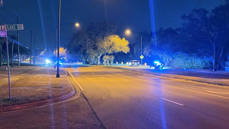 1 dead after car crashes into tree, catches on fire: FHP