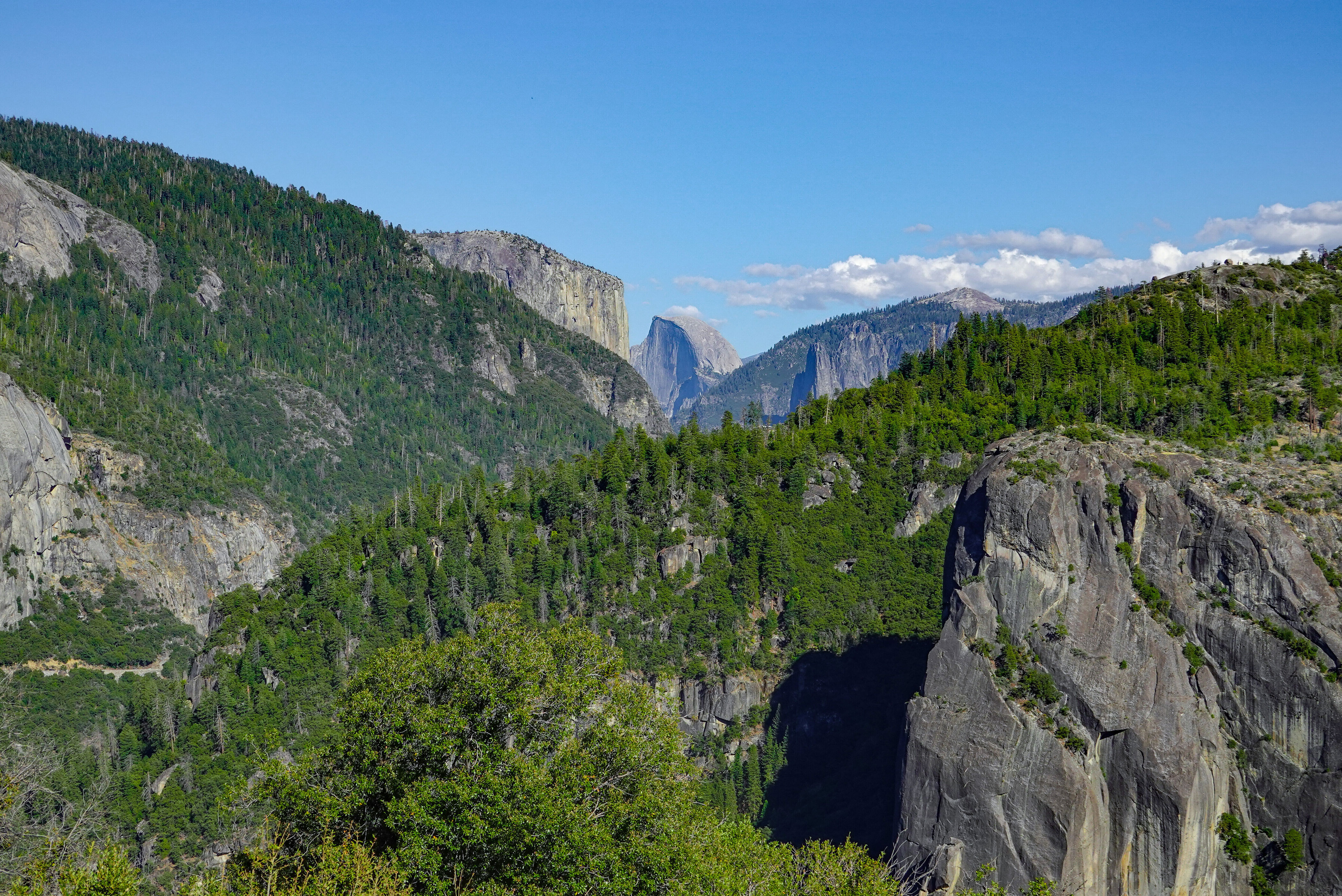 Donald Trump sued over bid to 