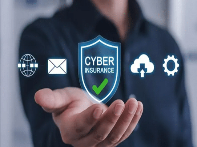 Cyber insurance: A safeguard against fraud! What is cyber insurance ...