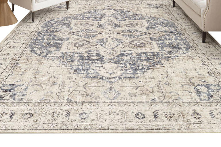 The best rug deals are hiding in Wayfair's closeout section—save up to ...