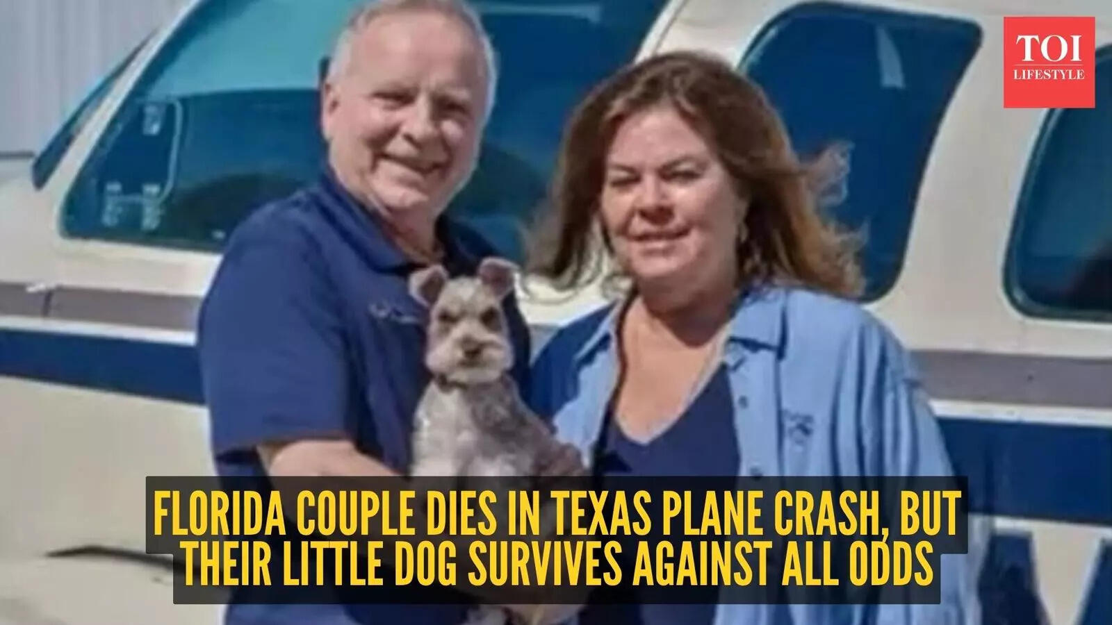 Florida couple dies in Texas plane crash, but their little dog survives ...