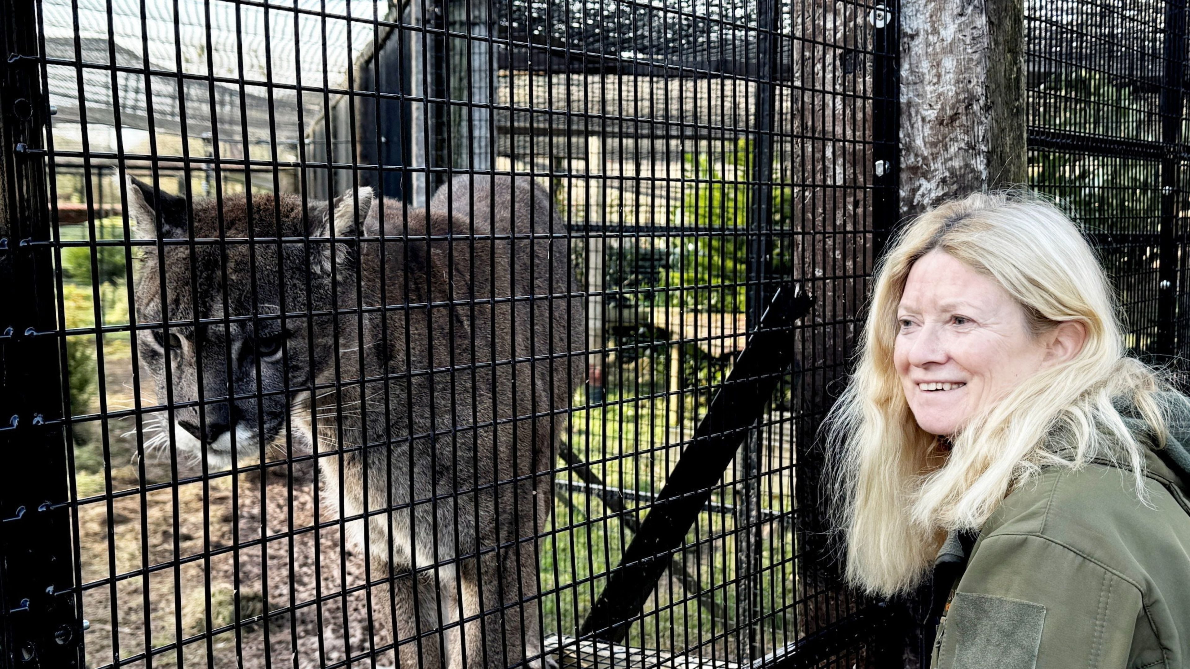 Boom in exotic animals being sold on TikTok, Facebook and Instagram as pets