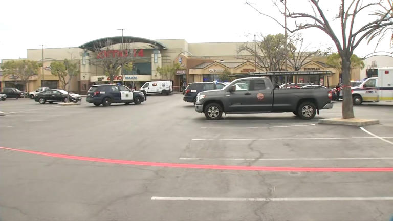 Man, woman found shot to death at San Jose shopping center parking lot ...