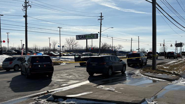 'Suicidal' man fatally shot by police officers in Parma after welfare check