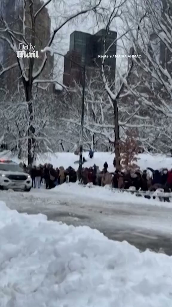 New Yorkers pelt NYPD vehicle with snowballs in Central Park