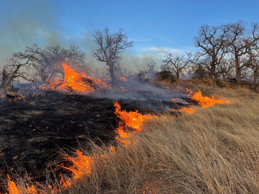 Crews battle 1,000+ acre brush fire in Gillespie County