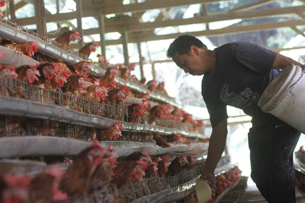 Saham JPFA dan CPIN Naik Jelang Ramadan