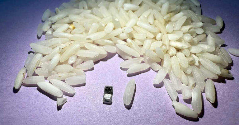 World's smallest pacemaker — the size of a grain of rice — saves babies ...