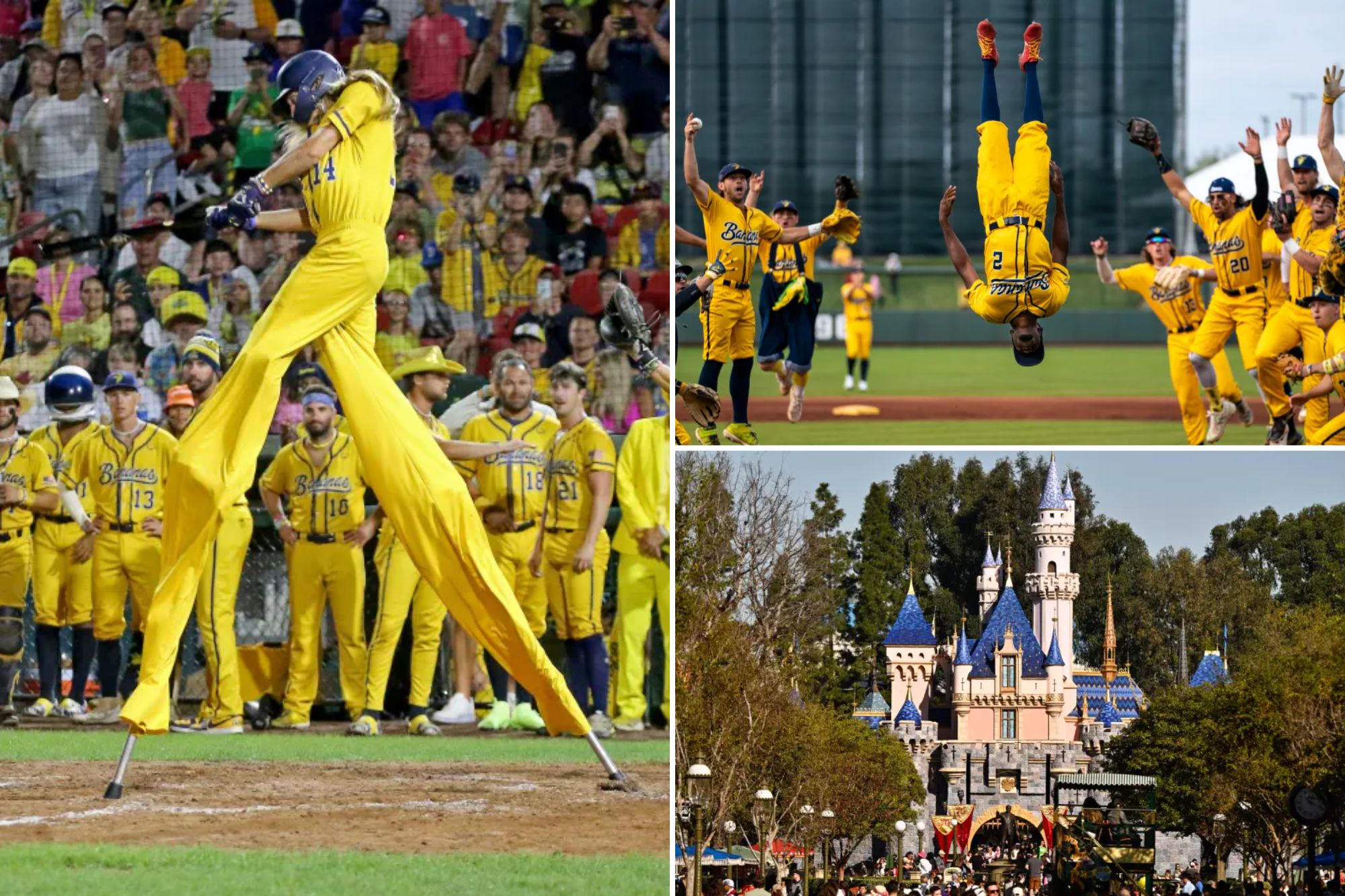 A national phenomenon, 'Bananaball' is bigger than ever before