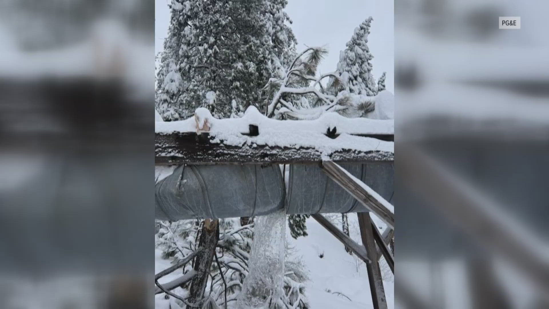 Storm shuts down main Tuolumne Canal after 200 trees fall into system