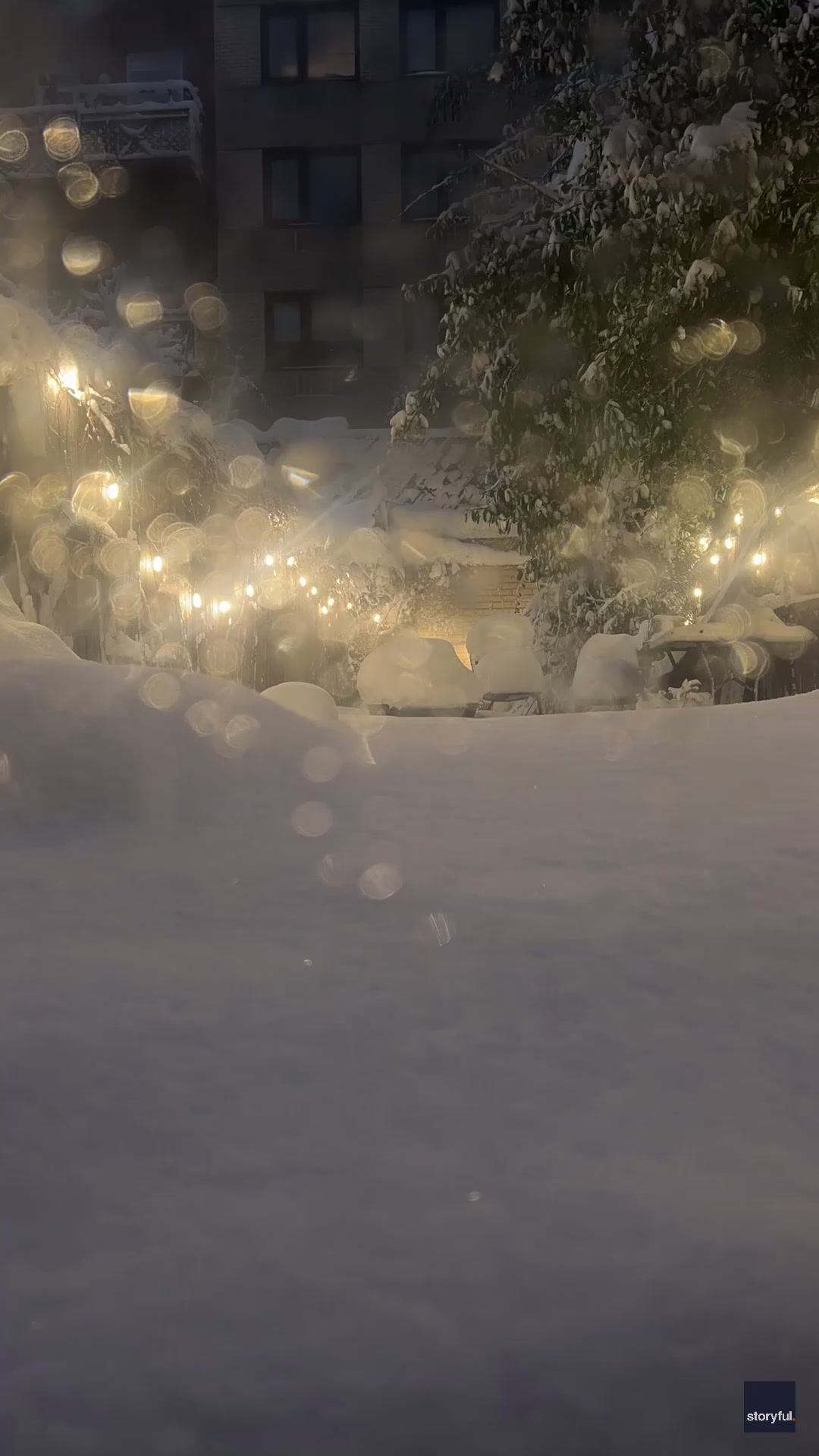 Timelapse shows snow rising in New York City backyard amid blizzard