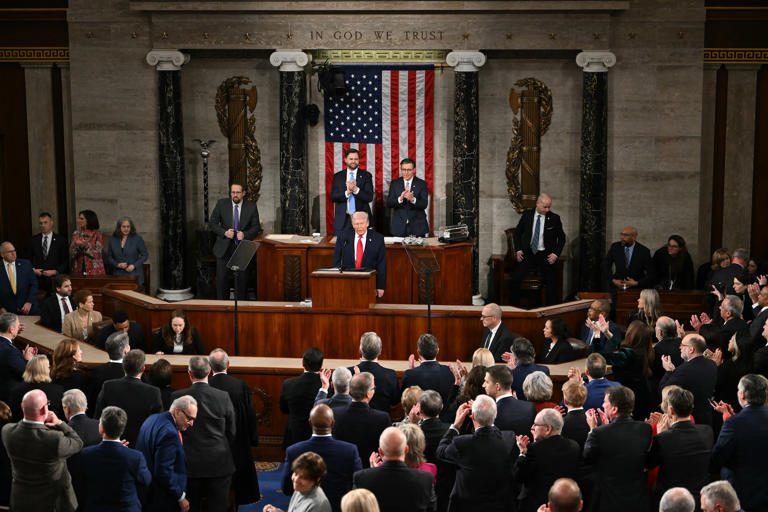 “These people are crazy”: Trump uses State of the Union to attack ...