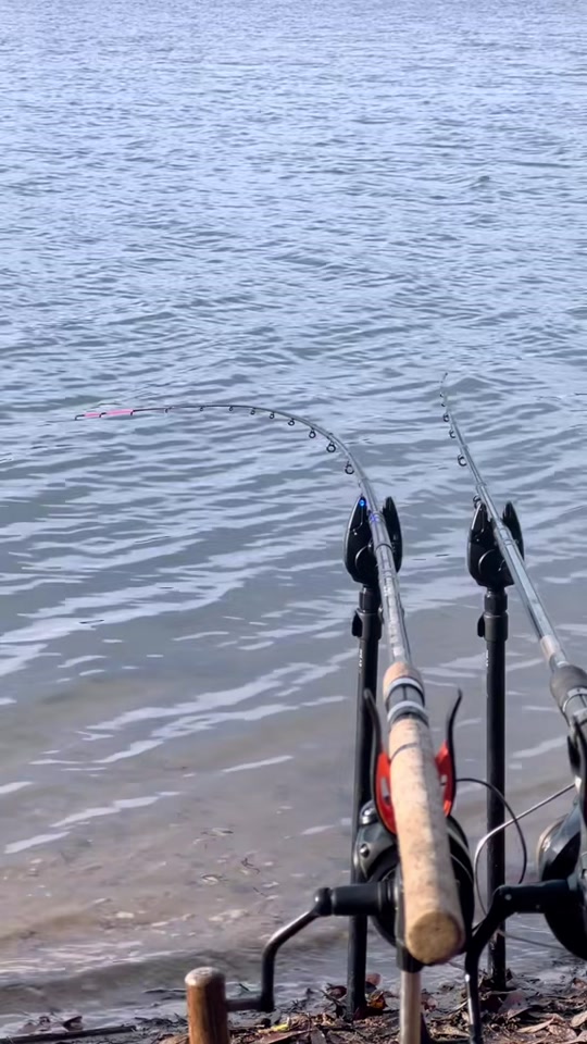 Ultimate carp fishing montage: Tricks, rigs, and big catches