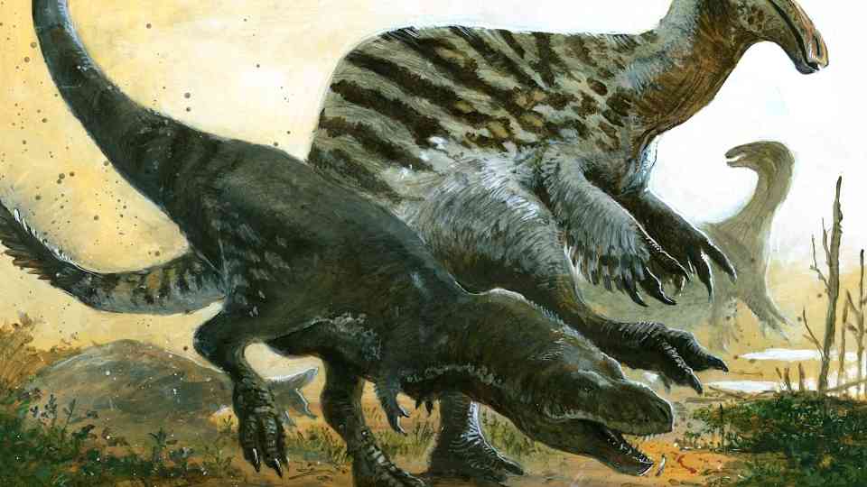 Tarbosaurus: The Asian rival to T rex