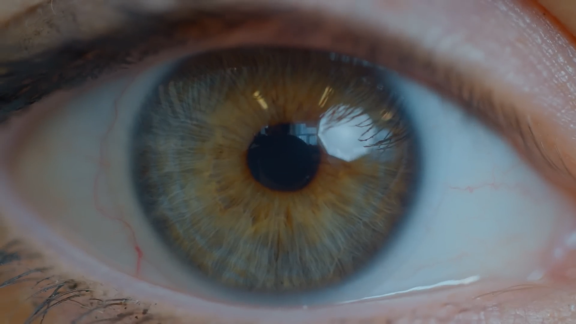 This animal can't see but it still knows you're there