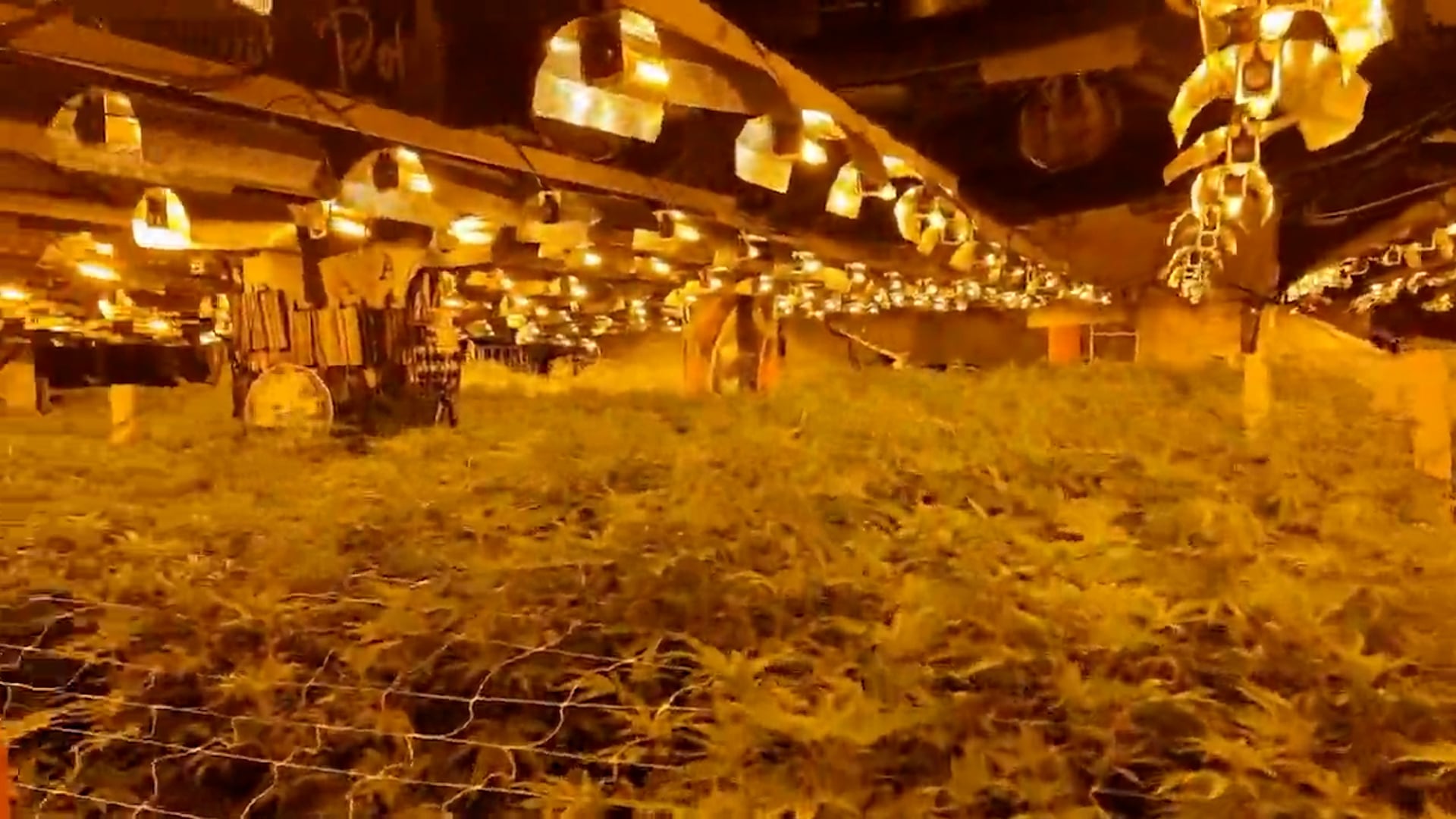 Man jailed after police bust massive cannabis factory inside former casino