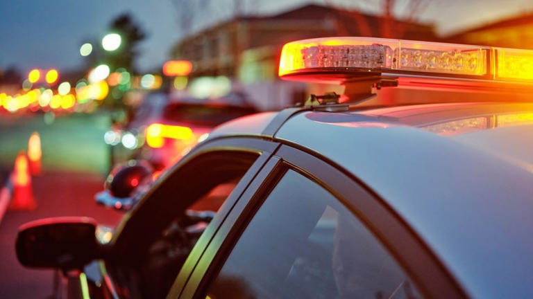 Passenger hospitalized, motorcyclist dead after crashing into a tree