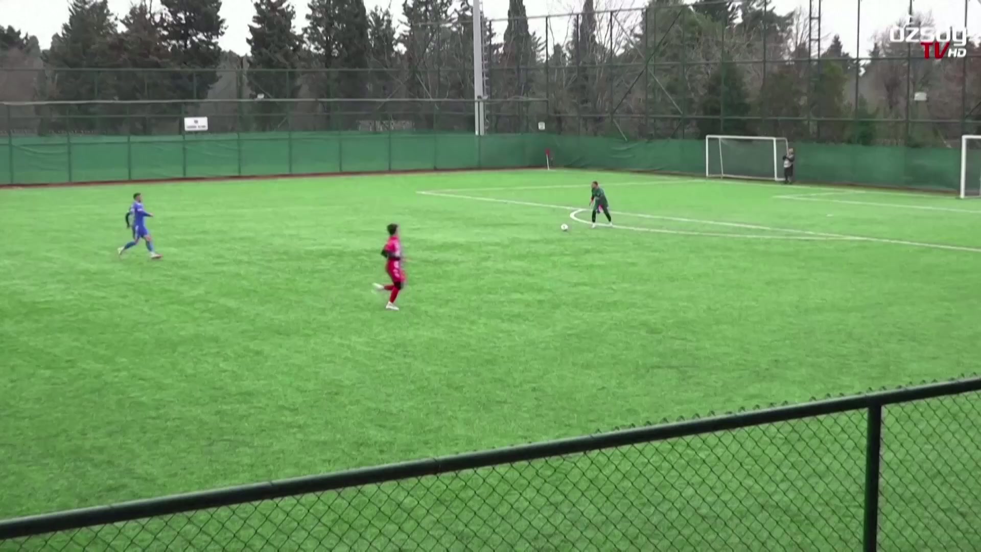 Watch: Seagull rescued with CPR by Istanbul football captain after ball ...