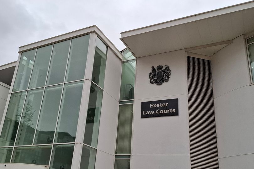 Fraudster treasurer took £11,000 from Devon charity to pay off her ...
