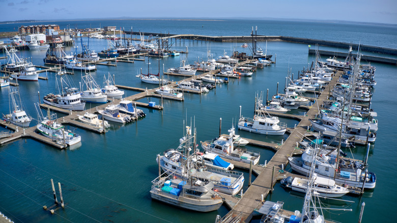 Boats at the marina in Westport, Washington
