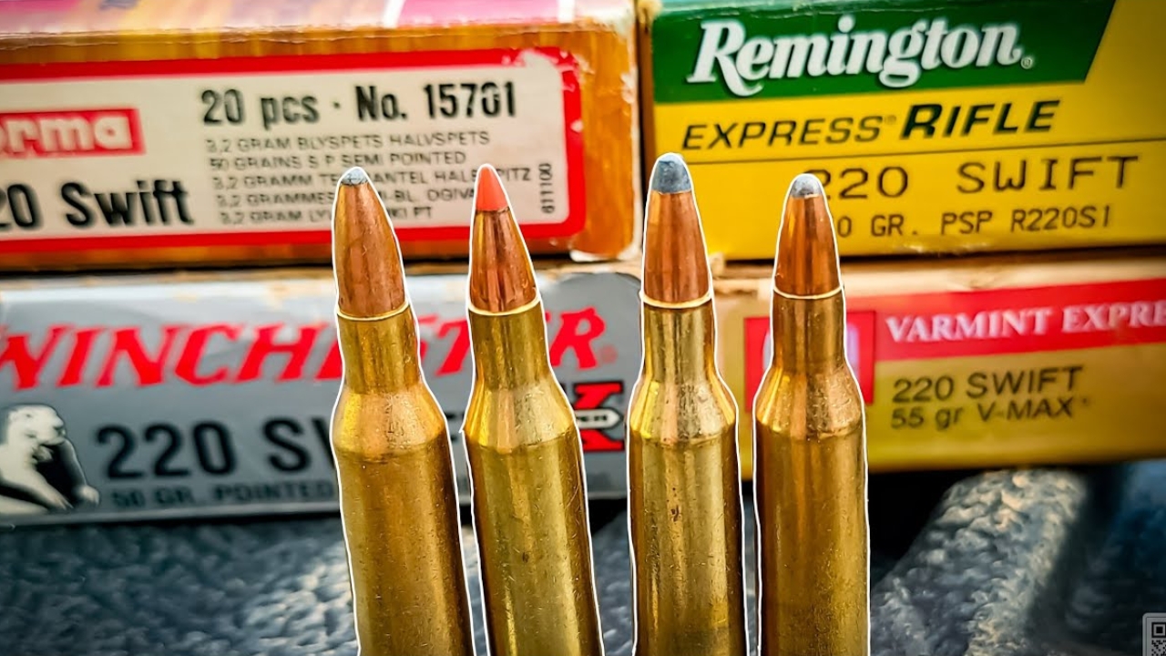 The rifle rounds that shoot flat but burn barrels faster than you want