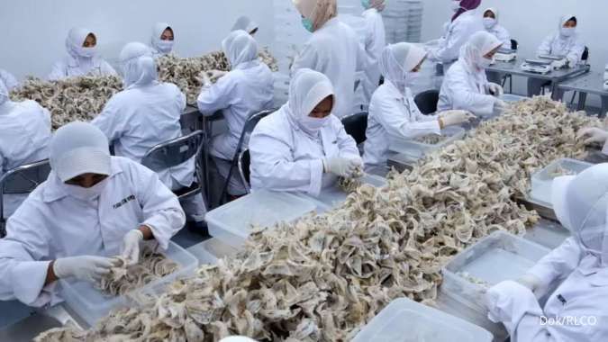 Marinova Protein Buka Suara Soal Pembentukan Cucu Usaha RLCO
