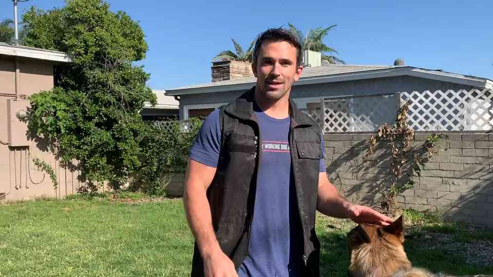 How 'Hold it' shapes early service dog retrieve training