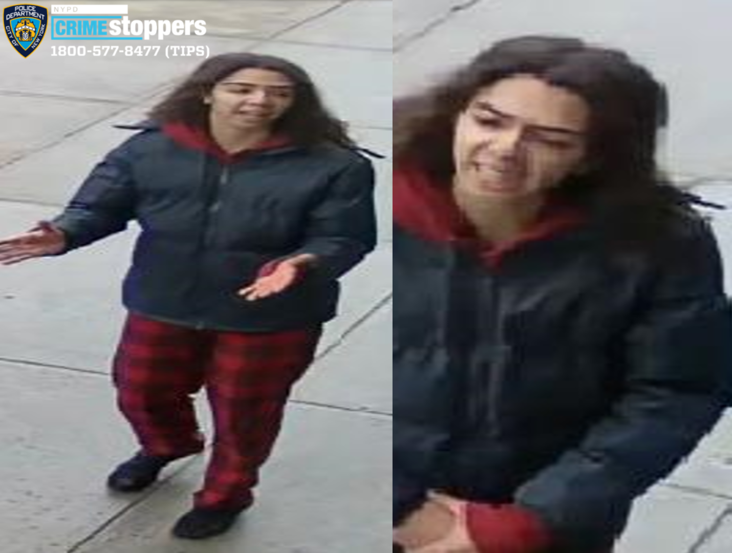 Woman wanted for pulling one girl's hair, punching another in East Harlem