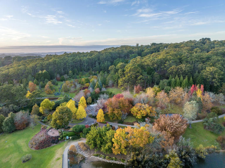 Why the Adelaide Hills should be on your Australia bucket list