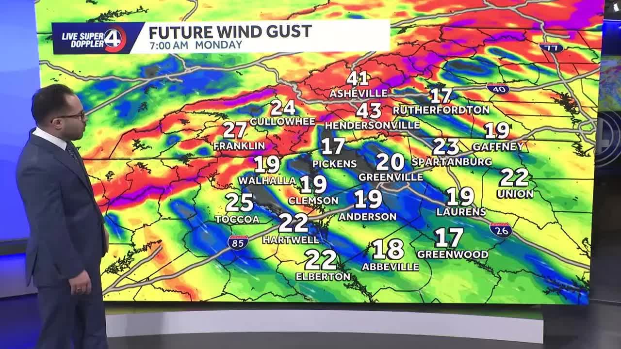 MSN