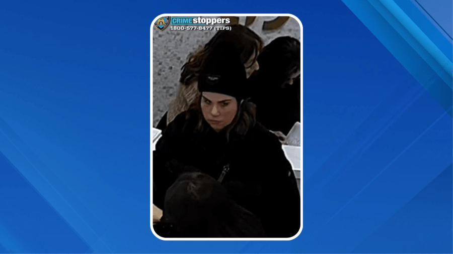 Nearly $100K in jewelry stolen from NYC store: NYPD