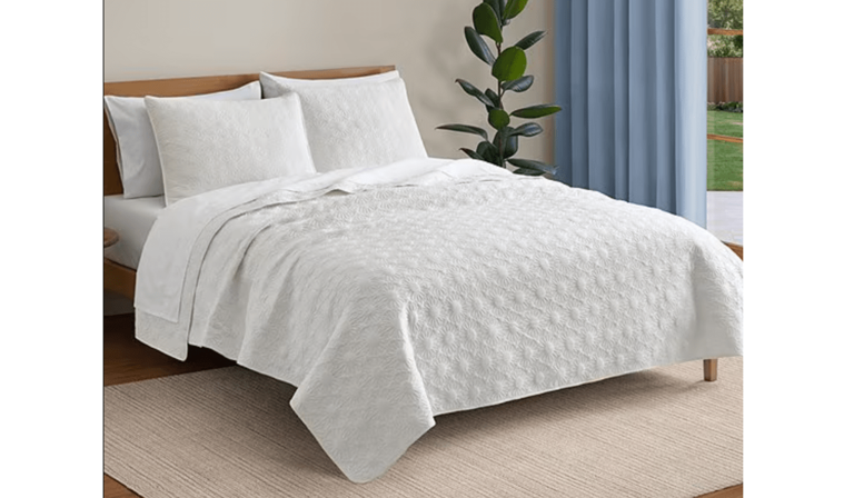 7 best new Dillard's spring home finds hitting shelves this week