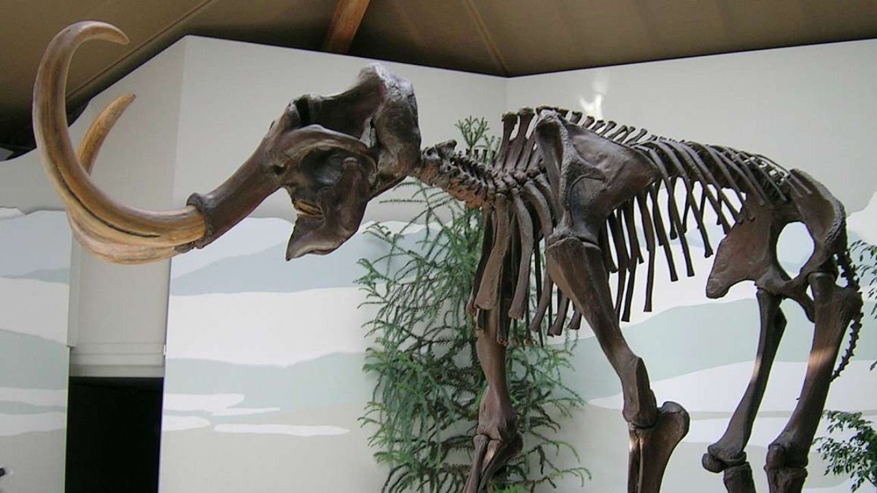 This extinct animal vanished thousands of years ago and scientists are ...
